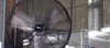 5 Things To Consider When Buying a Wall Mount Fan