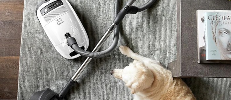 does vacuuming a dog help with shedding