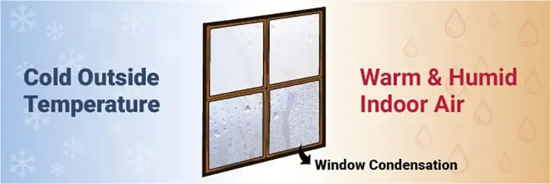 How to Prevent Condensation on Your Windows (and Why You Should)