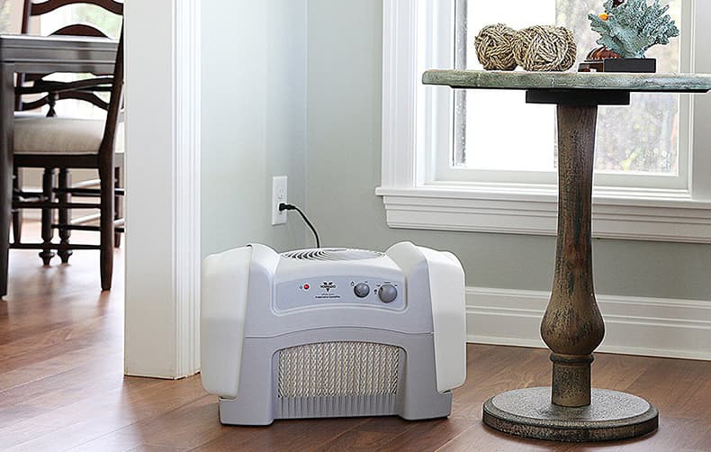 Cool Mist Versus Warm Mist Humidifiers Sylvane