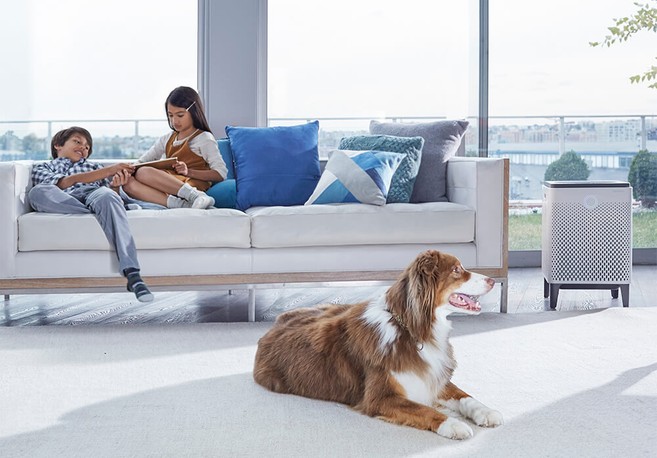 Air Purifier in Home