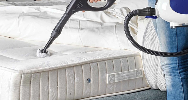 Dry Steamer to Kill Bed Bugs: The Ultimate Weapon