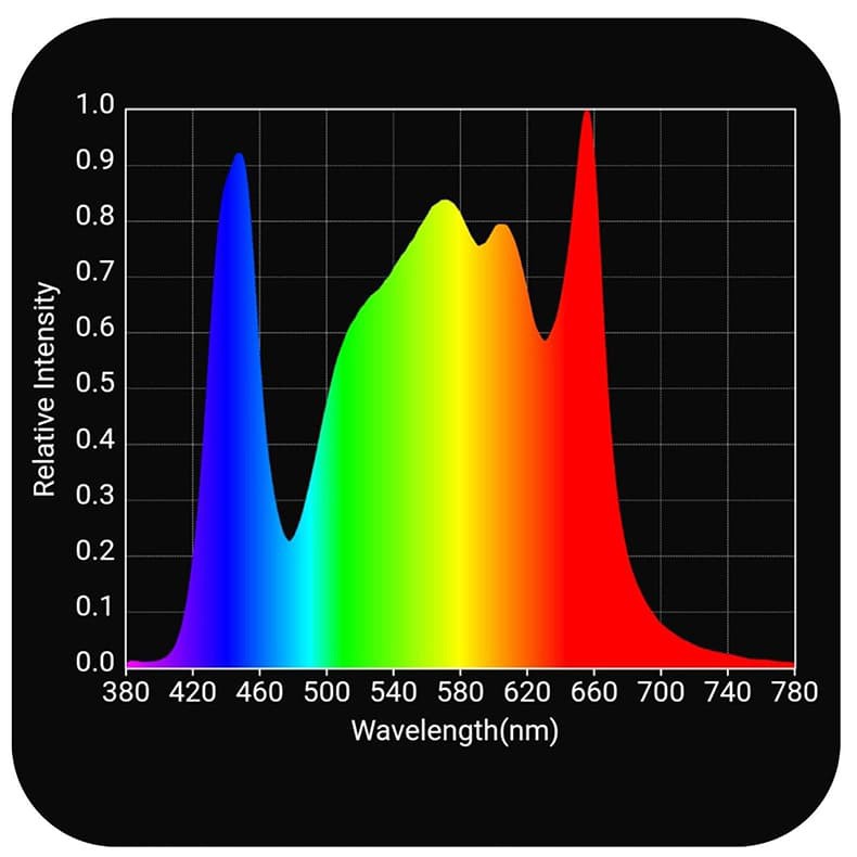 What Color Light is the Best for Growing Plants Sylvane