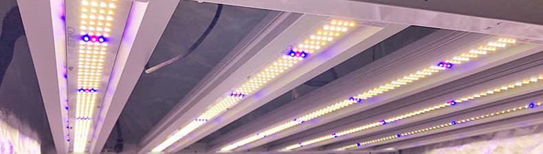 LED Grow Lights