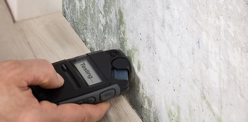 Moisture Meter