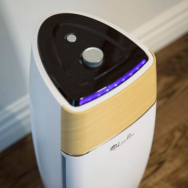 Best Air Purifiers Under 100 Sylvane