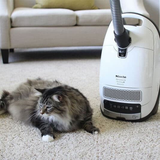 Miele Complete C3 Cat & Dog Canister Vacuum