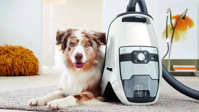 Miele CX1 Cat and Dog Canister Vacuum