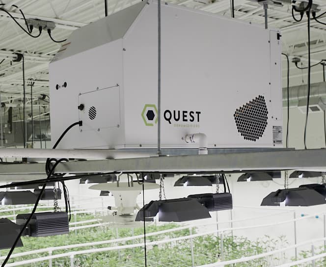 Quest 155 Overhead Dehumidifier