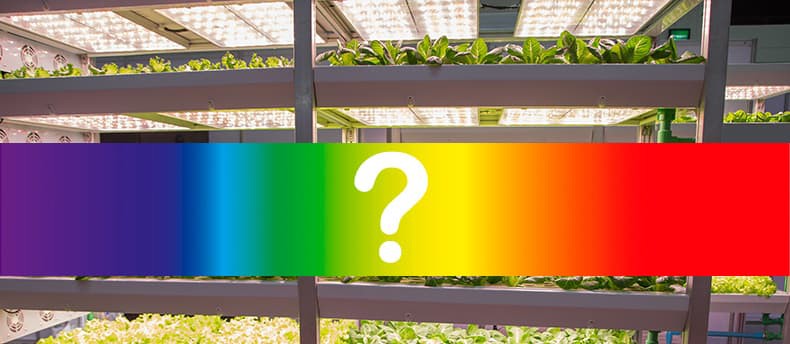 What Color Light is the Best for Growing Plants?