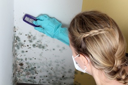 image of woman scrubbing mold