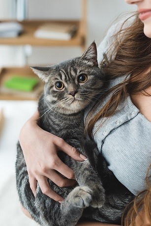 hepa filter for cat allergies