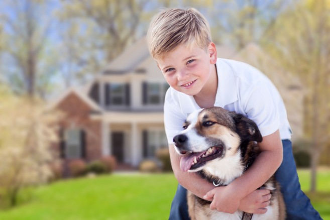 Kid holding dog