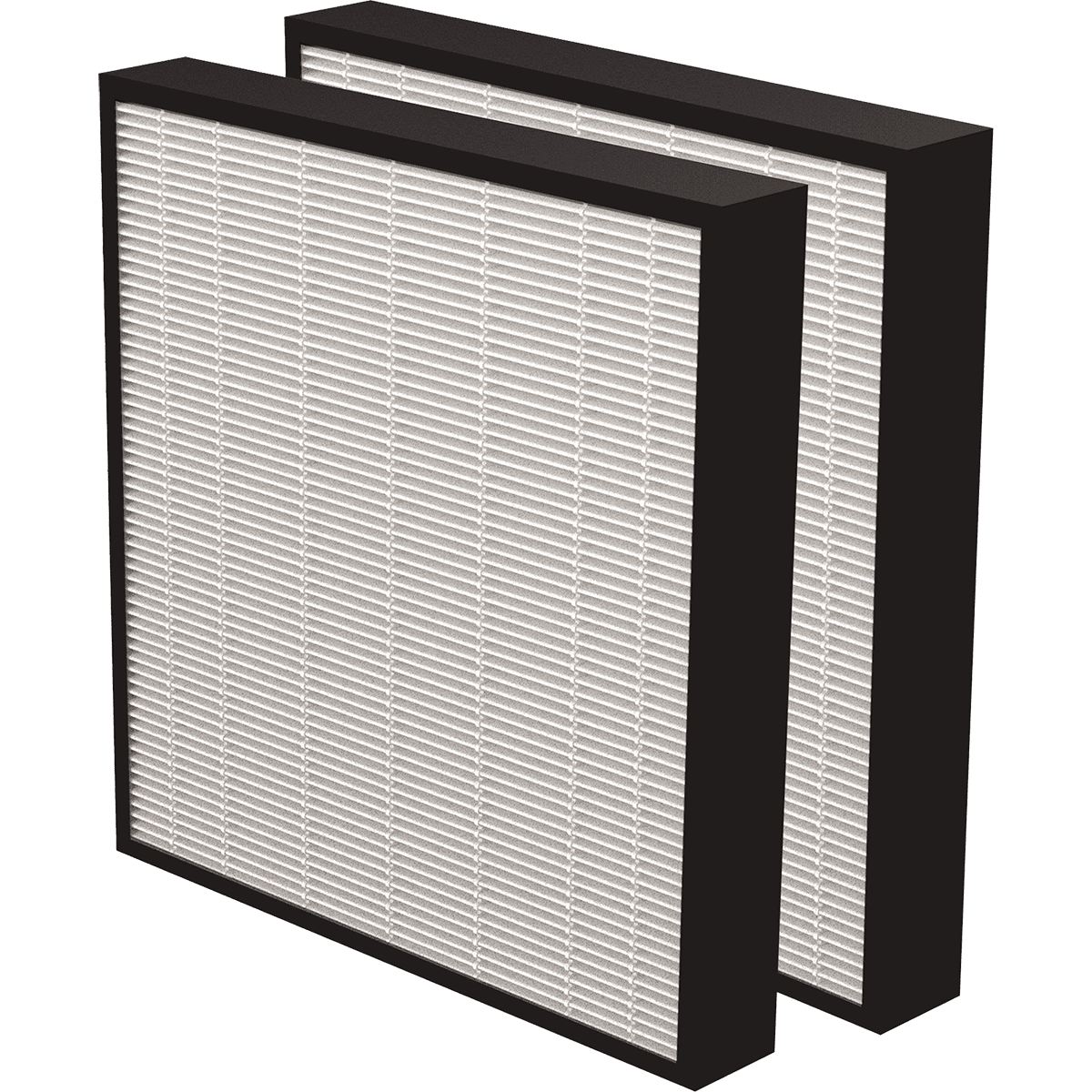 Aeramax Pro True Hepa Inch Filter Pack