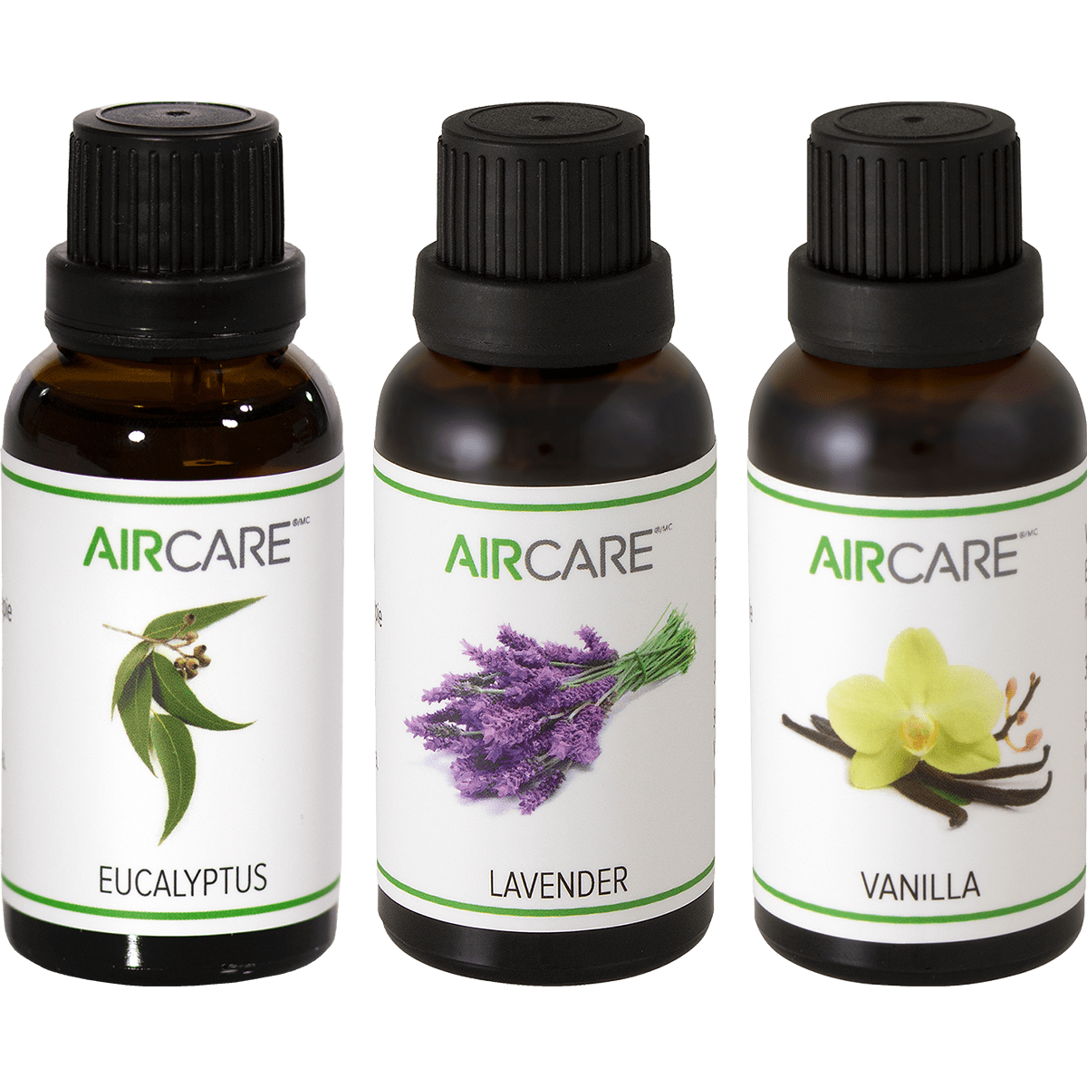 Essential Oil Bottle With Medicinal Plants And Flowers Aromatherapy  Essential Oils Stock Photo - Download Image Now - iStock