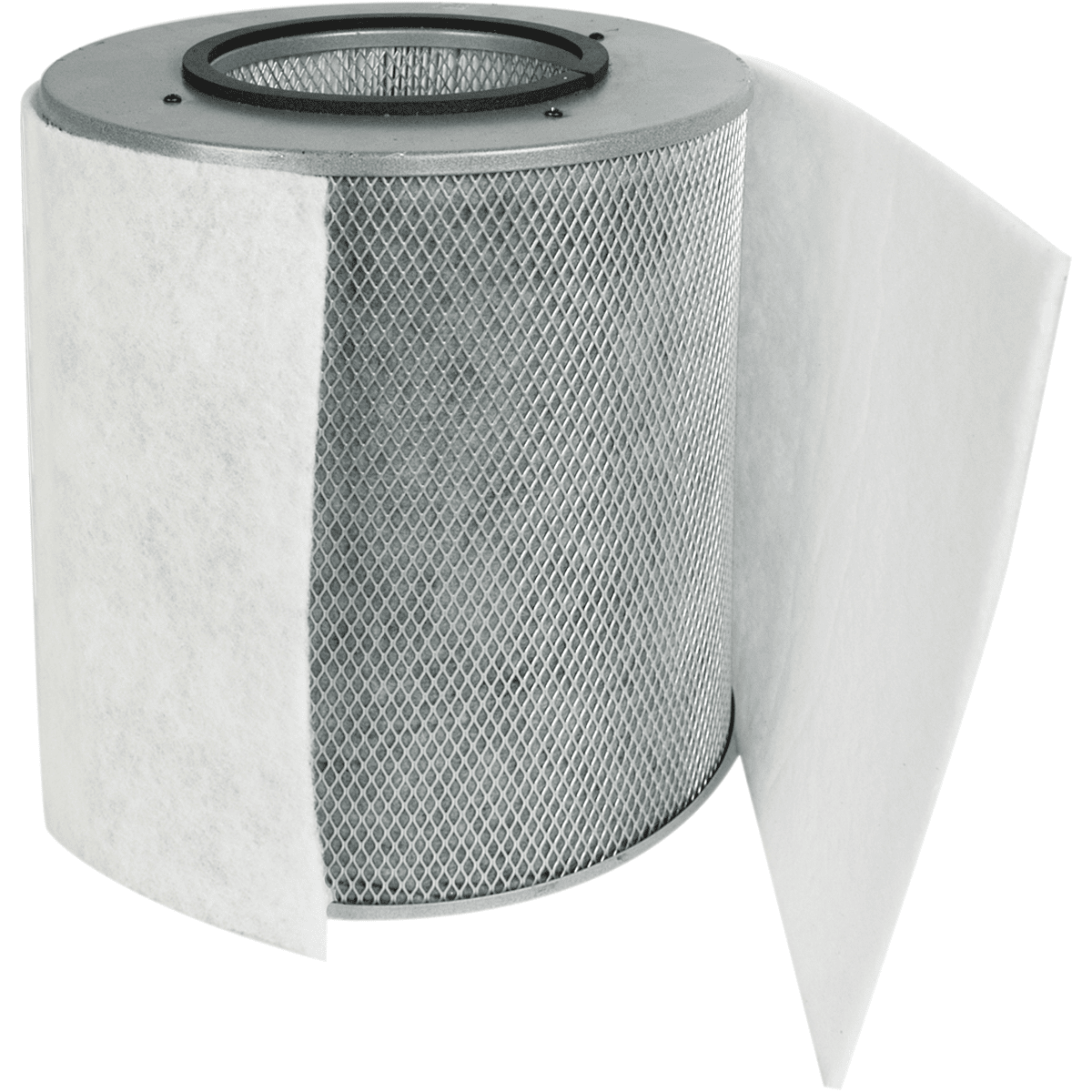 Austin Air Allergy Machine (HEGA) Replacement Filter w/ Prefilter (Light-colored)