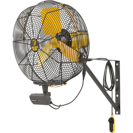 Big Ass Fans AirEye Wallmount Fan W/ AEOS Occupancy Sensor - 20-in