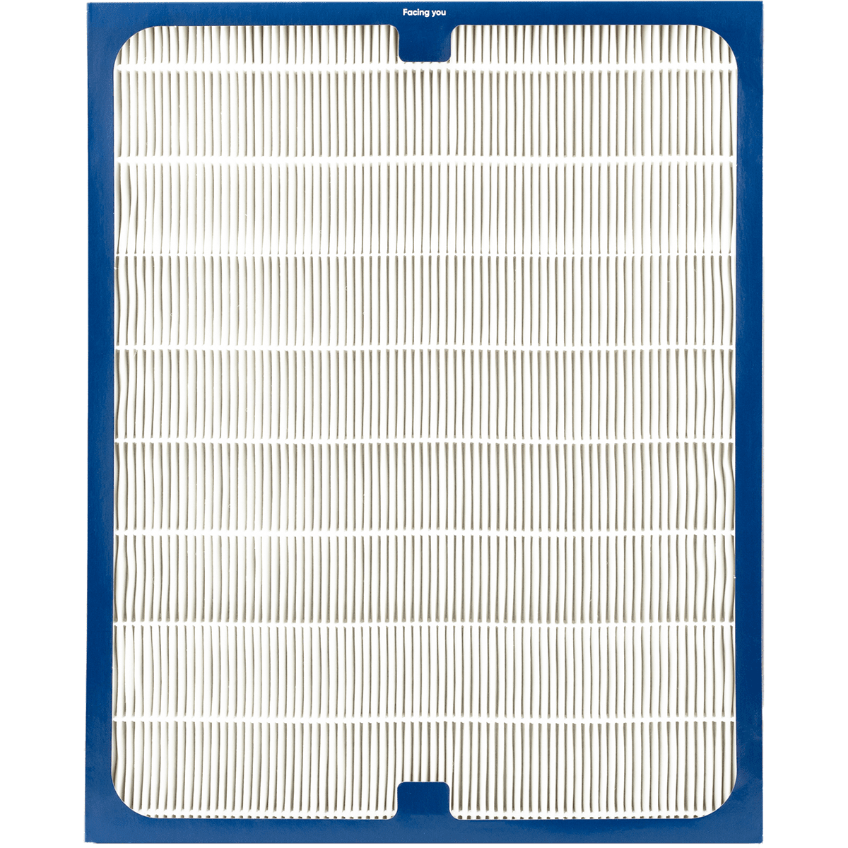 Blueair 200 / 300 Series Dual Protection Filter 201DPF