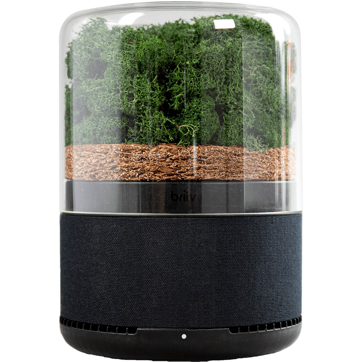 Moss Pure Live Moss Air Filter in Black