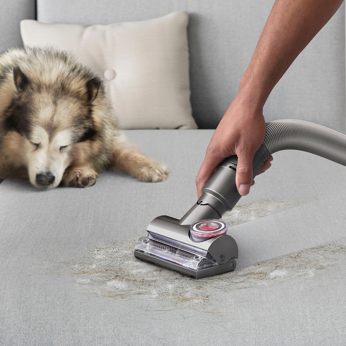 Amazon.com - Dyson Ball Animal Total Clean Upright Vacuum