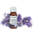 pureguardian 100% lavender oil 1 ounce lifestyle - view 5