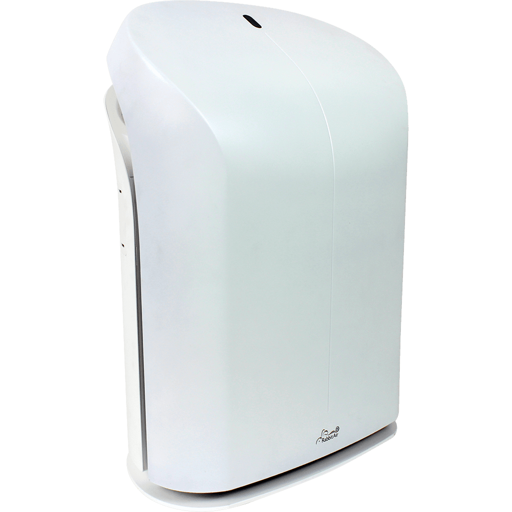 Rabbit Air BioGS HEPA Air Purifier | Sylvane