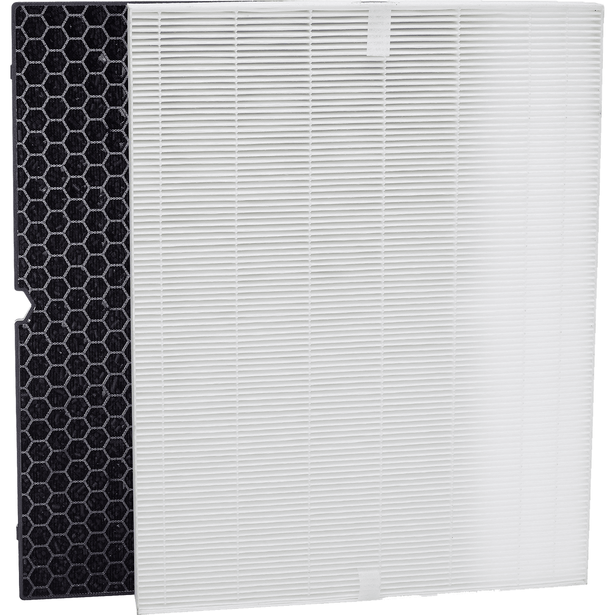 winix carbon filter